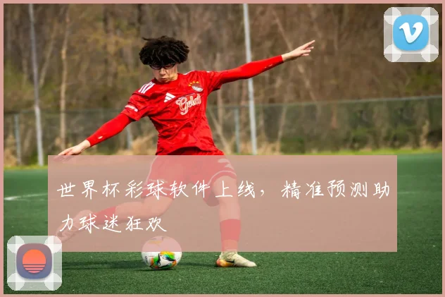 世界杯彩球软件上线,精准预测助力球迷狂欢