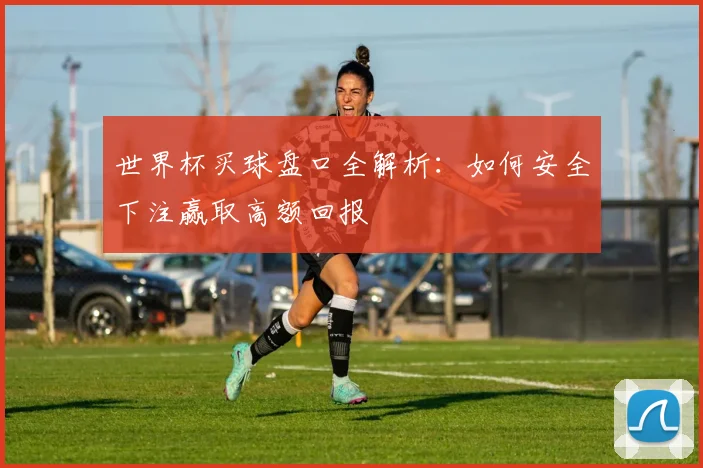 世界杯买球盘口全解析：如何安全下注赢取高额回报