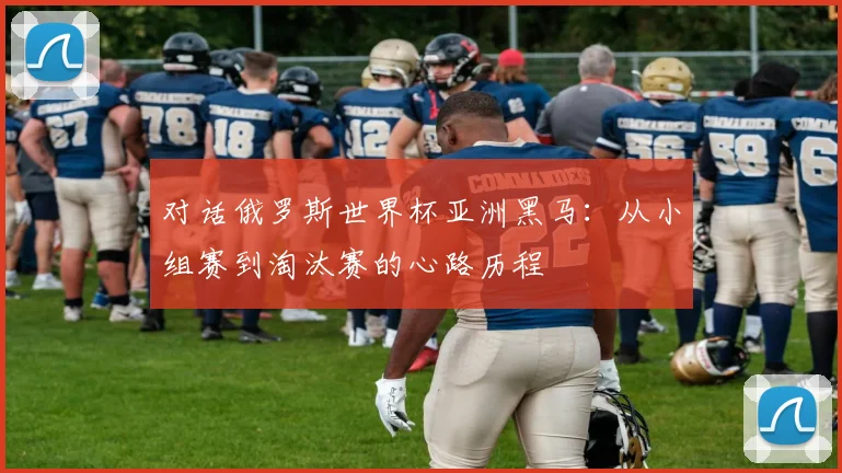 对话俄罗斯世界杯亚洲黑马:从小组赛到淘汰赛的心路历程