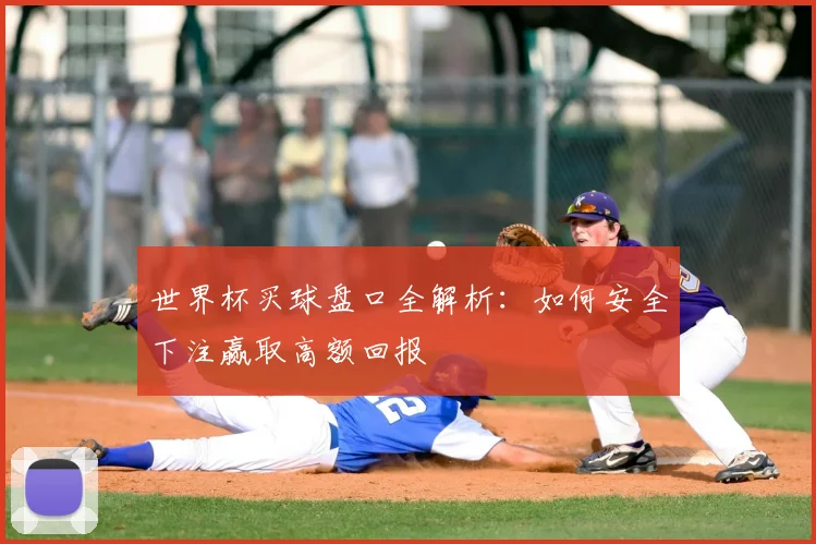 世界杯买球盘口全解析：如何安全下注赢取高额回报
