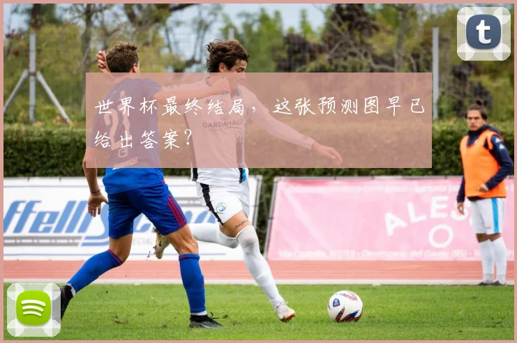世界杯最终结局,这张预测图早已给出答案?