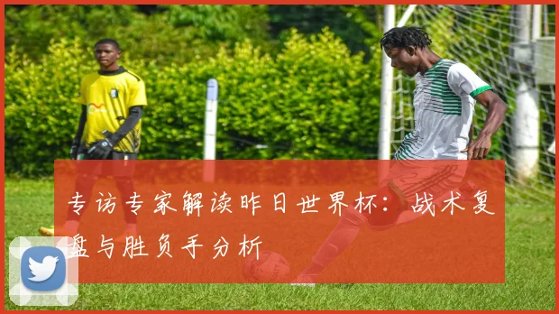 专访专家解读昨日世界杯：战术复盘与胜负手分析