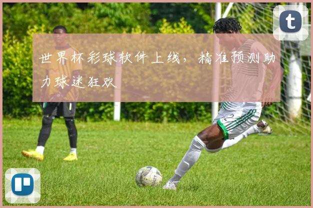 世界杯彩球软件上线,精准预测助力球迷狂欢