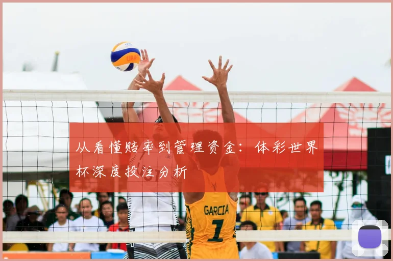 从看懂赔率到管理资金：体彩世界杯深度投注分析