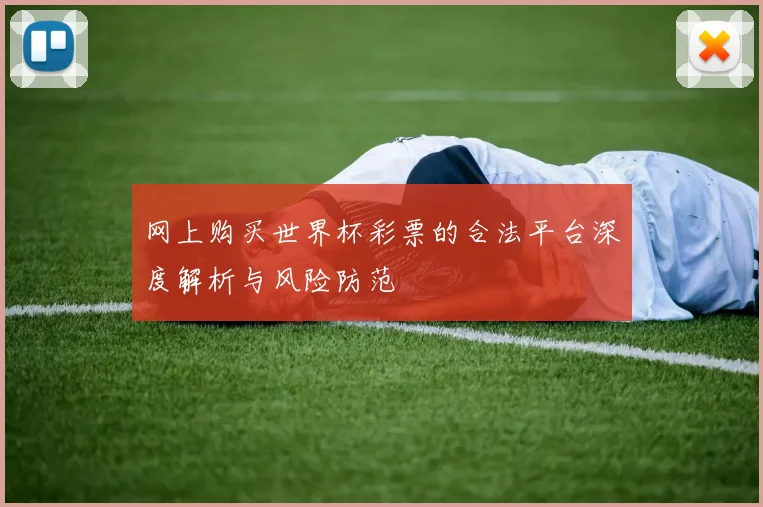 网上购买世界杯彩票的合法平台深度解析与风险防范