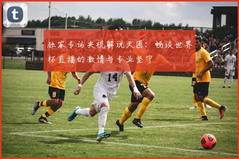 独家专访央视解说天团：畅谈世界杯直播的激情与专业坚守