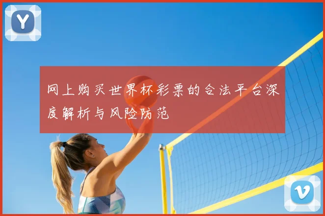 网上购买世界杯彩票的合法平台深度解析与风险防范