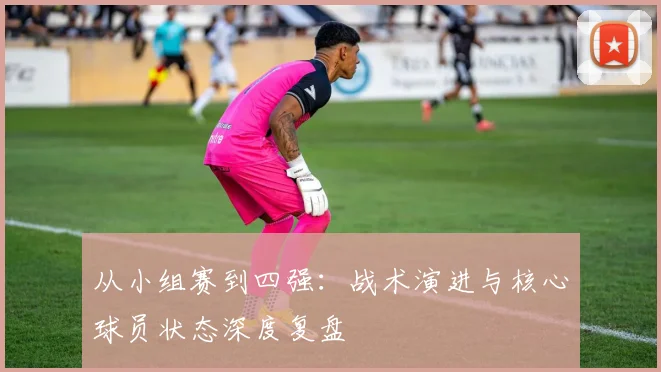 从小组赛到四强：战术演进与核心球员状态深度复盘