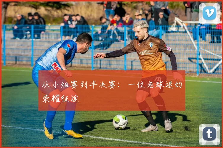 从小组赛到半决赛：一位老球迷的荣耀征途