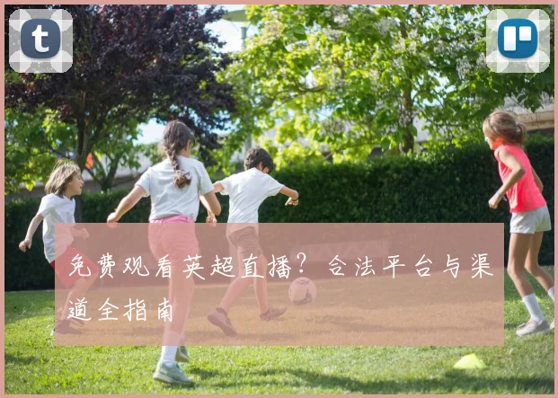 免费观看英超直播？合法平台与渠道全指南
