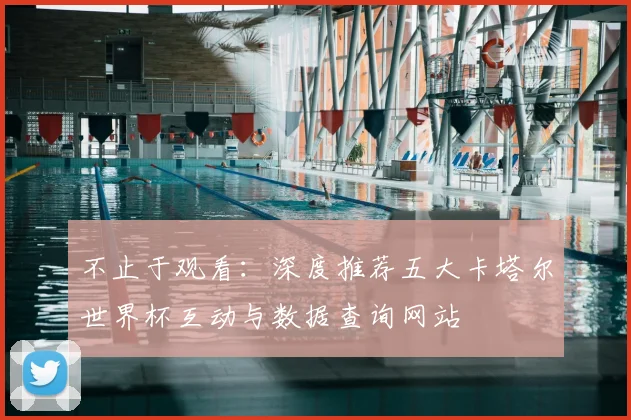 不止于观看：深度推荐五大卡塔尔世界杯互动与数据查询网站