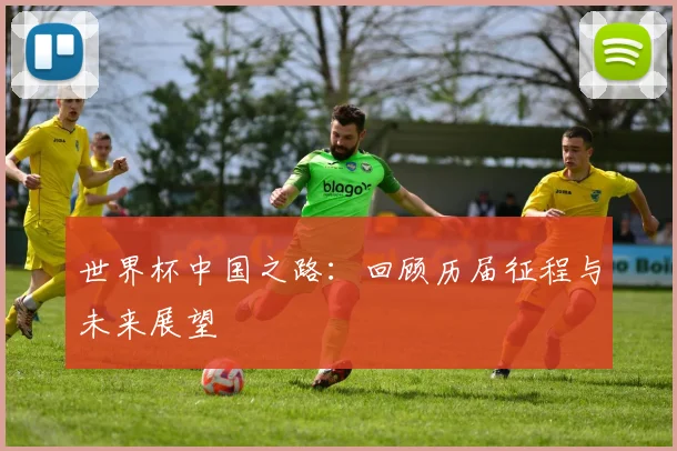 世界杯中国之路：回顾历届征程与未来展望